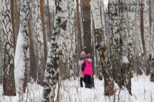 Прогулка с элементами ОФП